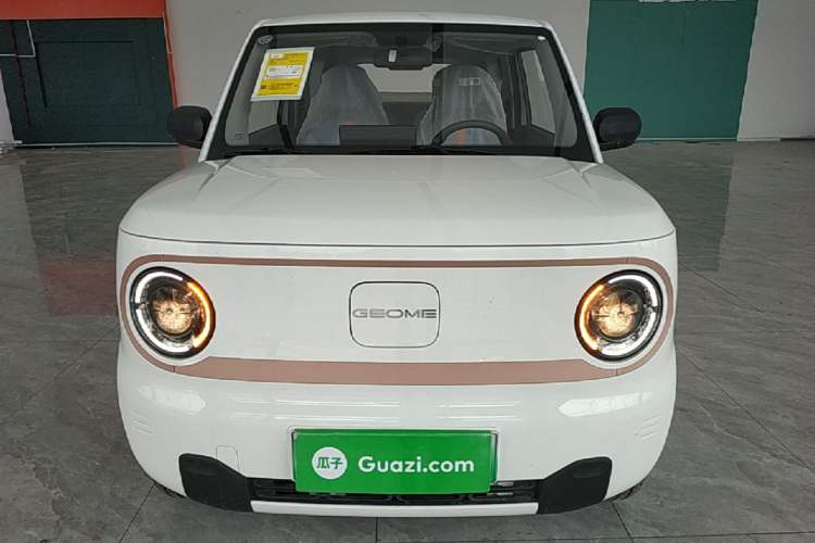 Used Geely Galaxy Panda 2024 Panda Mini 200km Endurance Bear Front