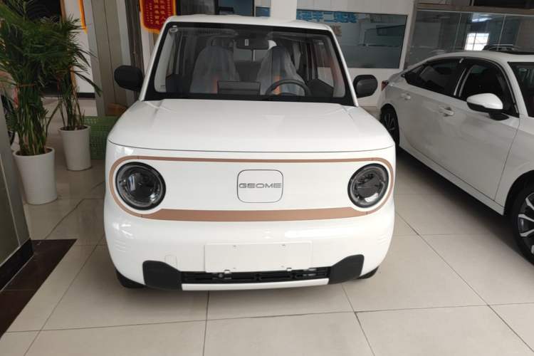 Used Geely Galaxy Panda 2024 Panda Mini 200km Endurance Bear Front
