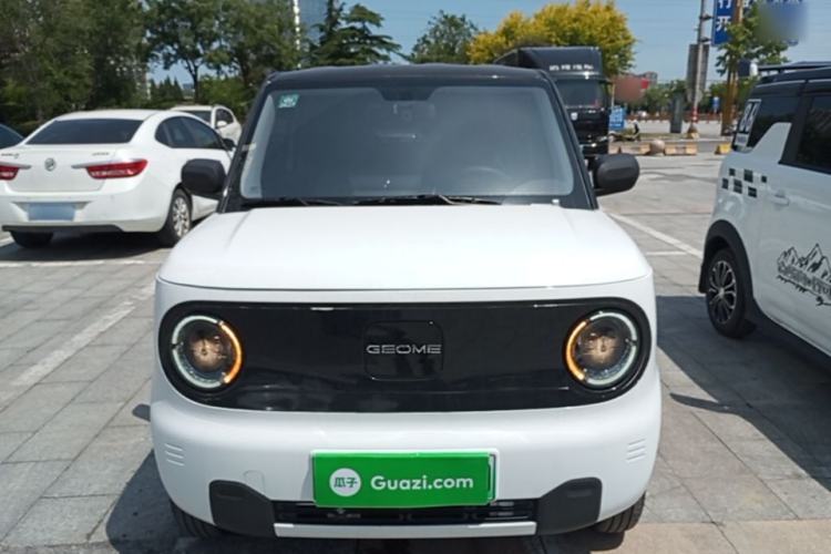 Used Geely Galaxy Panda 2024 Panda Mini 200km Endurance Bear Front