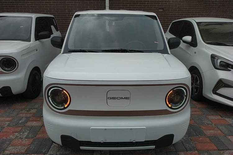 Used Geely Galaxy Panda 2024 Panda Mini 200km Endurance Bear Front