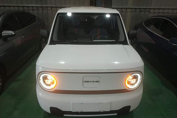 Used Geely Galaxy Panda 2024 Panda Mini 200km Endurance Bear Front