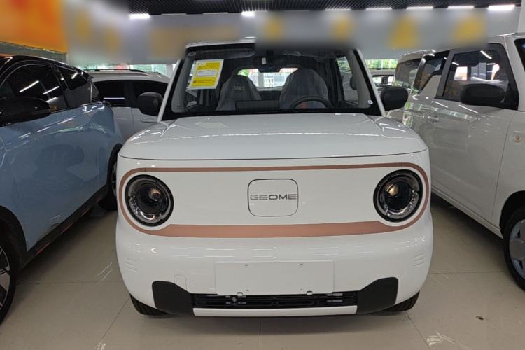 Used Geely Galaxy Panda 2024 Panda Mini 200km Endurance Bear Front