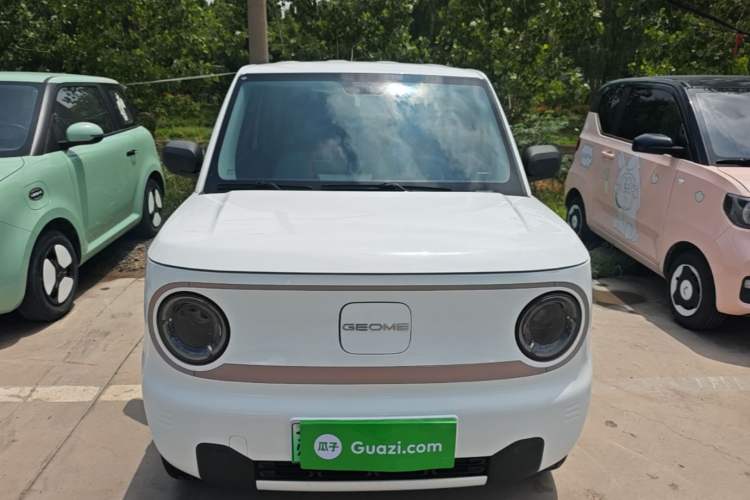 Used Geely Galaxy Panda 2024 Panda Mini 200km Endurance Bear Front