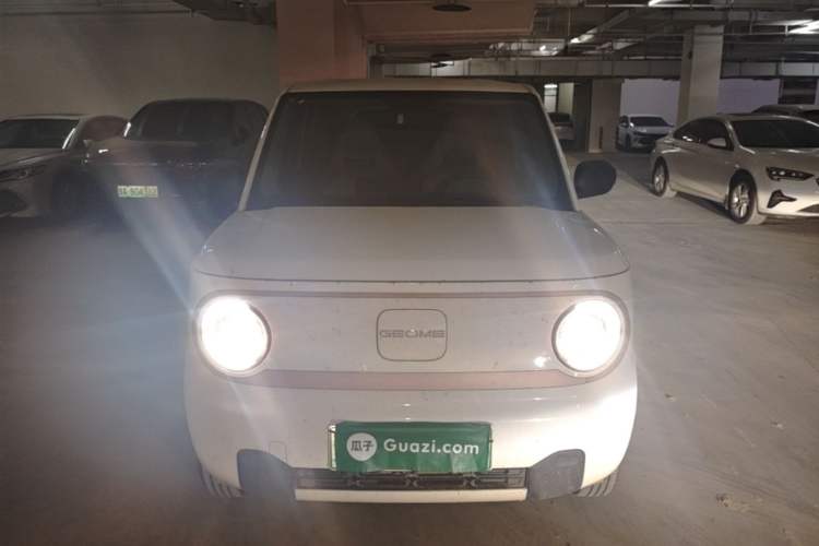 Used Geely Galaxy Panda 2024 Panda Mini 200km Endurance Bear Front