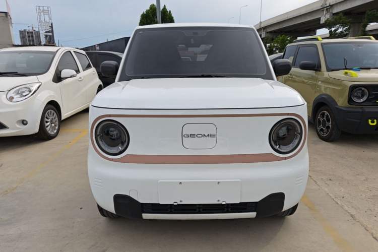 Used Geely Galaxy Panda 2024 Panda Mini 200km Endurance Bear Front