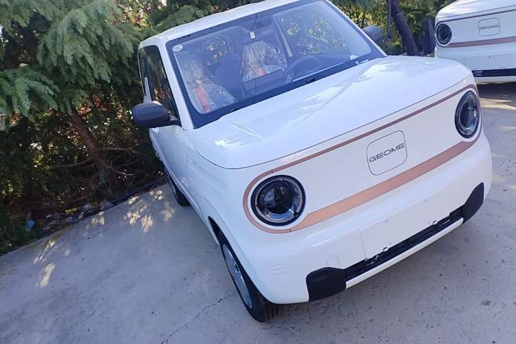 Used Geely Galaxy Panda 2024 Panda Mini 200km Endurance Bear Front Right 45 Deg