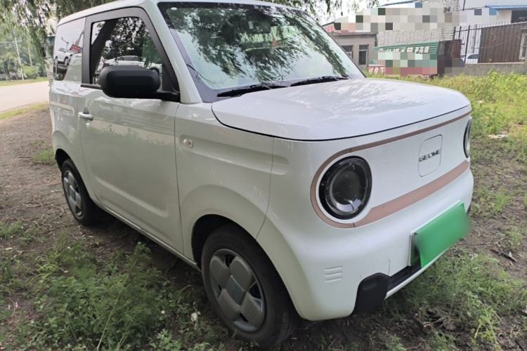Used Geely Galaxy Panda 2024 Panda Mini 200km Endurance Bear Front Right 45 Deg