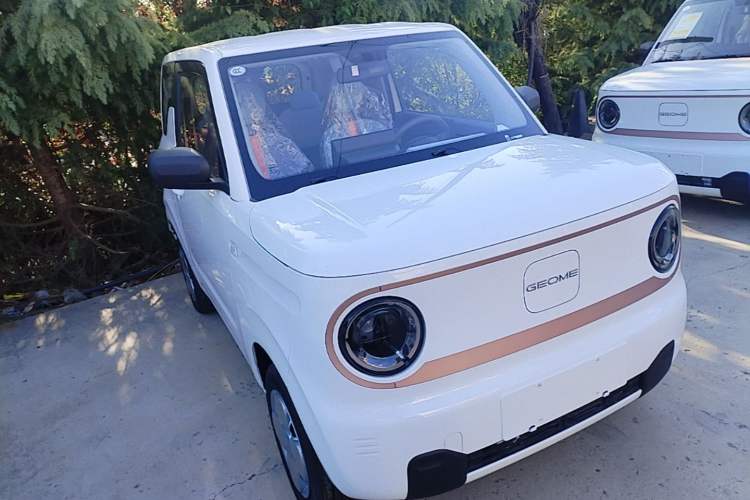 Used Geely Galaxy Panda 2024 Panda Mini 200km Endurance Bear Front Right 45 Deg