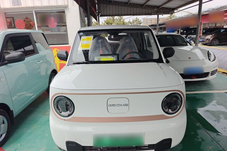 Used Geely Galaxy Panda 2024 Panda Mini 200km Endurance Bear Front