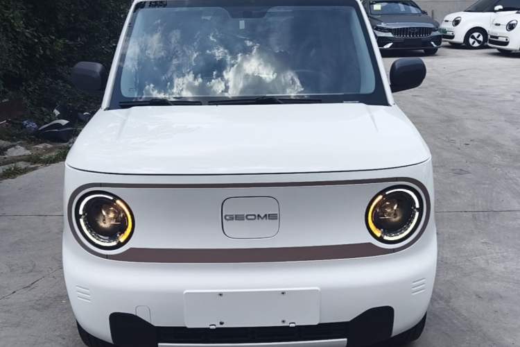 Used Geely Galaxy Panda 2024 Panda Mini 200km Endurance Bear Front