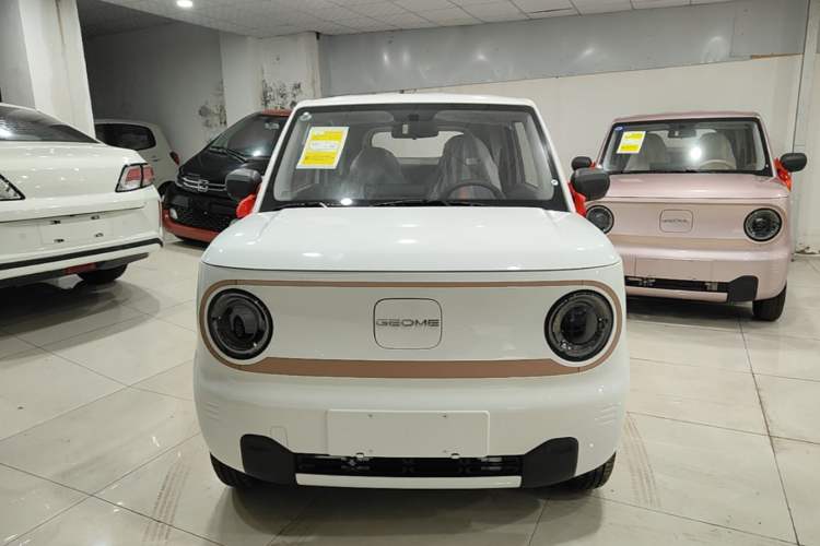 Used Geely Galaxy Panda 2024 Panda Mini 200km Endurance Bear Front