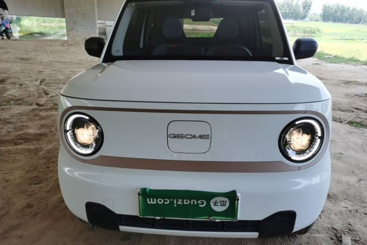 Used Geely Galaxy Panda 2024 Panda Mini 200km Endurance Bear Front