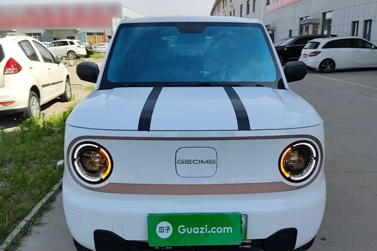 Used Geely Galaxy Panda 2024 Panda Mini 200km Endurance Bear Front