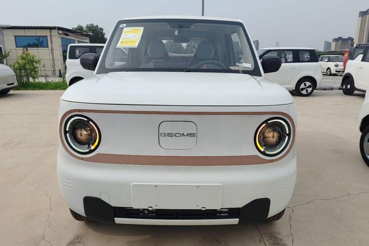 Used Geely Galaxy Panda 2024 Panda Mini 200km Endurance Bear Front