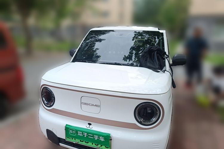 Used Geely Galaxy Panda 2024 Panda Mini 200km Endurance Bear Front