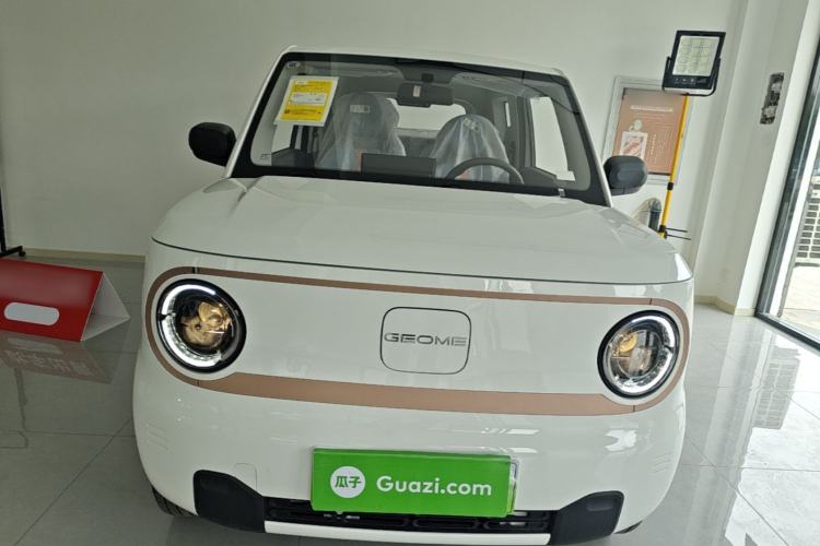 Used Geely Galaxy Panda 2024 Panda Mini 200km Endurance Bear Front
