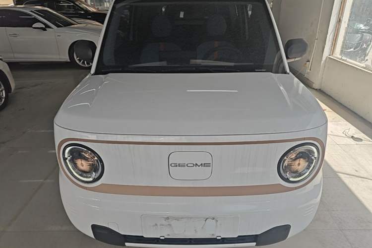 Used Geely Galaxy Panda 2024 Panda Mini 200km Endurance Bear Front