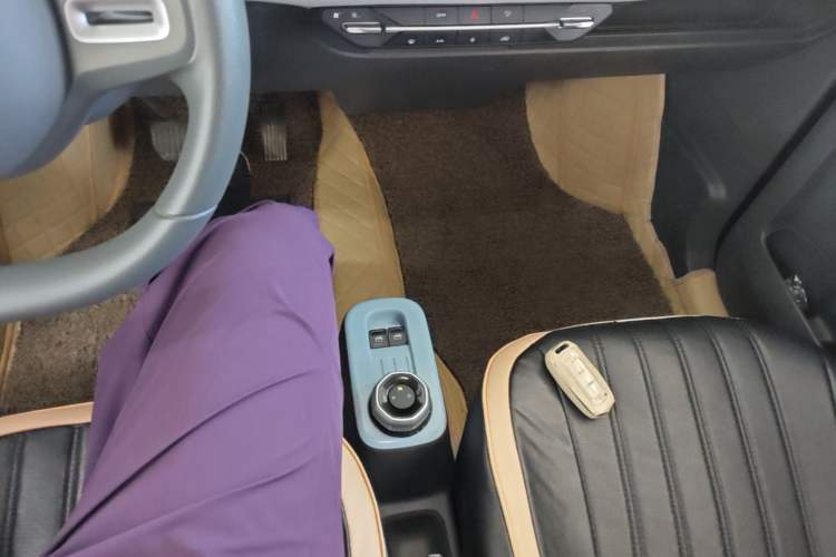 Used Geely Galaxy Panda 2024 Panda Mini 200km Endurance Bear Gear Lever
