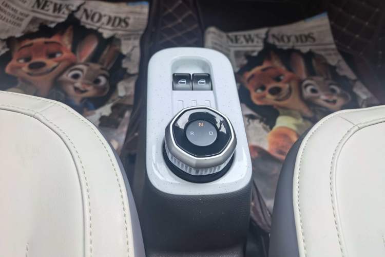 Used Geely Galaxy Panda 2024 200km Panda Rider Gear Lever