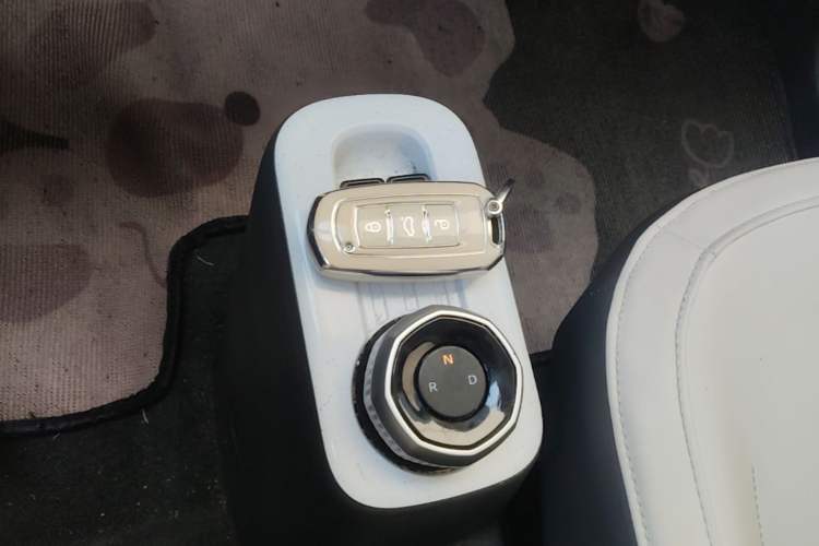 Used Geely Galaxy Panda 2024 200km Panda Rider Gear Lever