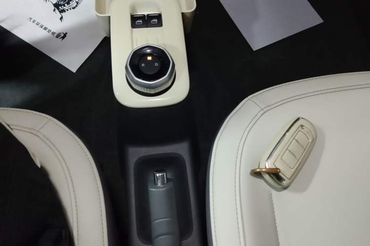 Used Geely Galaxy Panda 2024 200km Panda Rider Gear Lever