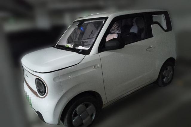 Used Geely Galaxy Panda 2024 Panda Mini 200km Endurance Bear