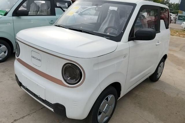 Used Geely Galaxy Panda 2024 Panda Mini 200km Endurance Bear