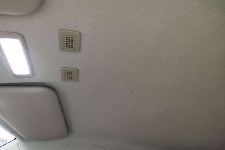 Used Geely Galaxy Panda 2024 200km Panda Kart Headliner