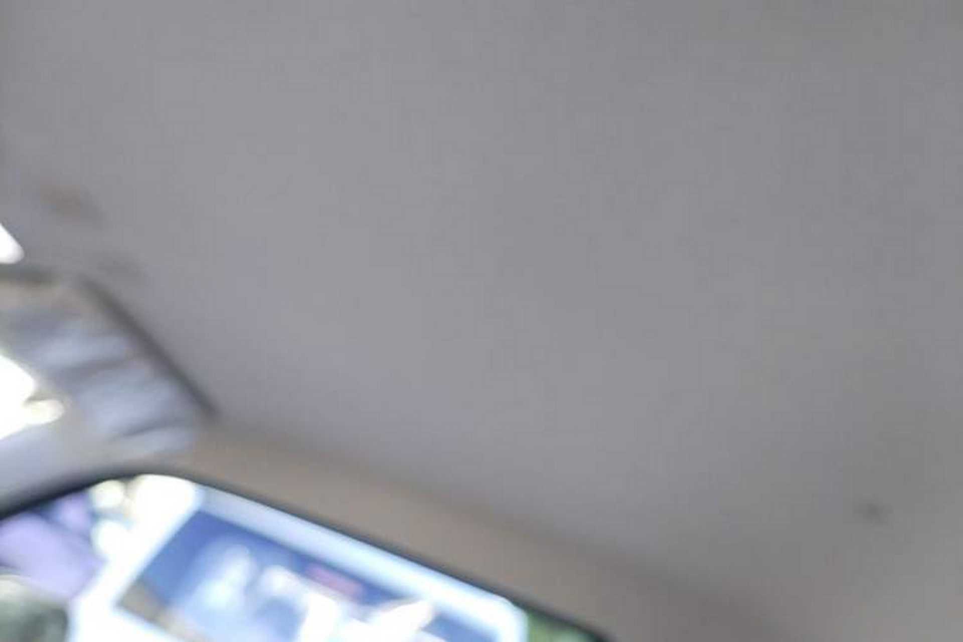 Used Geely Galaxy Panda 2024 Panda Mini 200km Endurance Bear Headliner