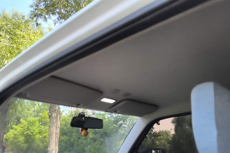 Used Geely Galaxy Panda 2024 Panda Mini 200km Endurance Bear Headliner