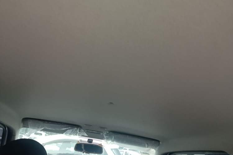 Used Geely Galaxy Panda 2024 Panda Mini 200km Endurance Bear Headliner