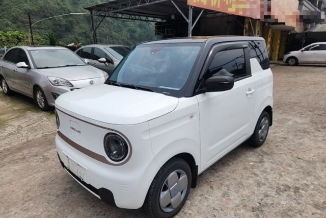 Geely Galaxy Panda 2024 Panda Mini 200km Endurance Bear usado