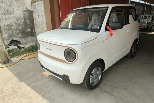 Used Geely Galaxy Panda 2024 Panda Mini 200km Endurance Bear