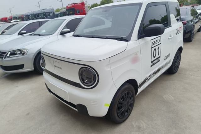 Used Geely Galaxy Panda 2024 Panda Mini 200km Endurance Bear