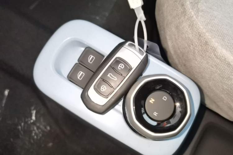 Used Geely Galaxy Panda 2024 Panda Mini 200km Endurance Bear Interior 1