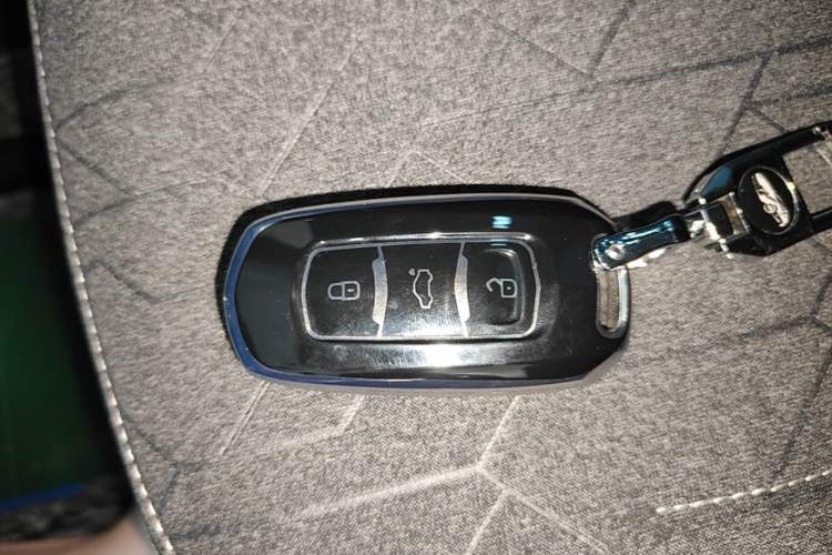 Used Geely Galaxy Panda 2024 Panda Mini 200km Endurance Bear Interior 1