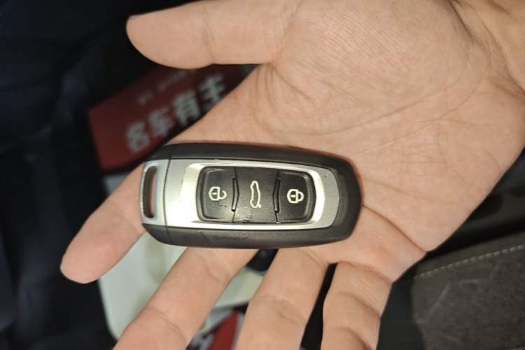 Used Geely Galaxy Panda 2024 Panda Mini 200km Endurance Bear Interior 1