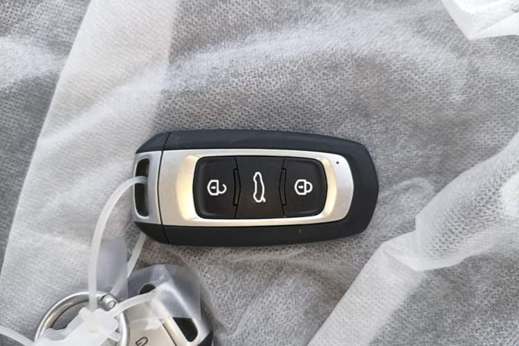 Used Geely Galaxy Panda 2024 Panda Mini 200km Endurance Bear Interior 1