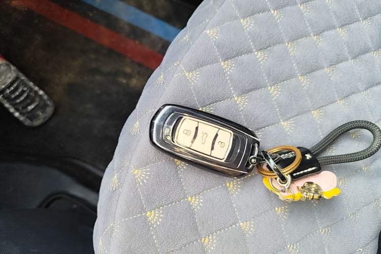 Used Geely Galaxy Panda 2024 Panda Mini 200km Endurance Bear Interior 1