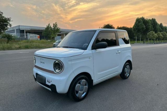 Used Geely Galaxy Panda 2024 Panda Mini 200km Endurance Bear