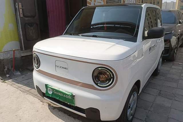 Used Geely Galaxy Panda 2024 Panda Mini 200km Endurance Bear
