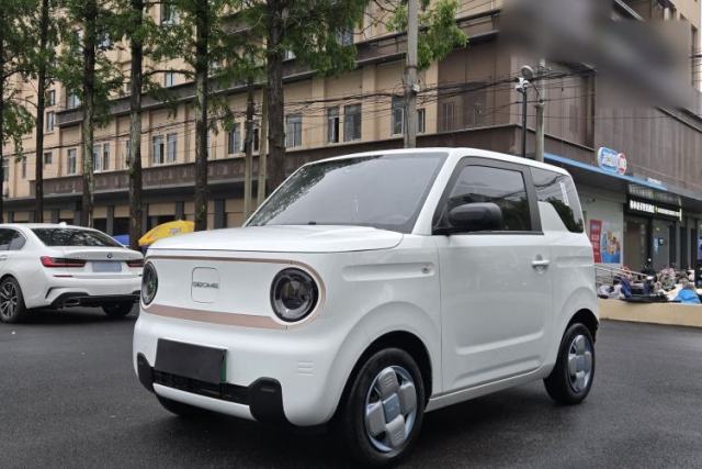 Used Geely Galaxy Panda 2024 Panda Mini 200km Endurance Bear