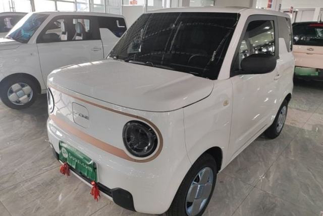 Used Geely Galaxy Panda 2024 Panda Mini 200km Endurance Bear