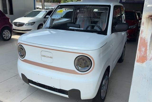 Used Geely Galaxy Panda 2024 Panda Mini 200km Endurance Bear