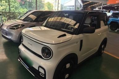 Used Geely Galaxy Panda 2024 200km Panda Kart