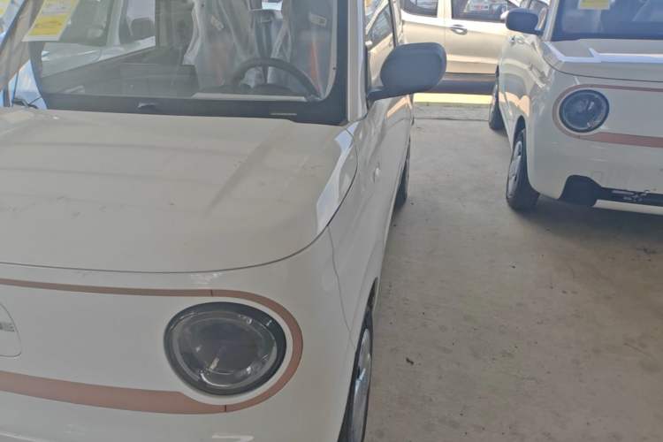 Used Geely Galaxy Panda 2024 Panda Mini 200km Endurance Bear Left Front Headlight