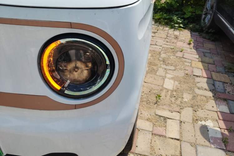 Used Geely Galaxy Panda 2024 Panda Mini 200km Longteng PRO Edition Left Front Headlight