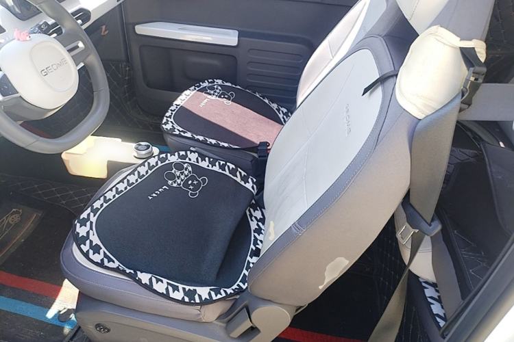 Used Geely Galaxy Panda 2024 200km Panda Kart Left Front Seat