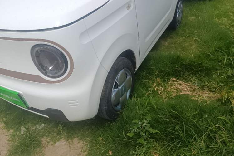 Used Geely Galaxy Panda 2024 Panda Mini 200km Endurance Bear Left Front Wheel Hub