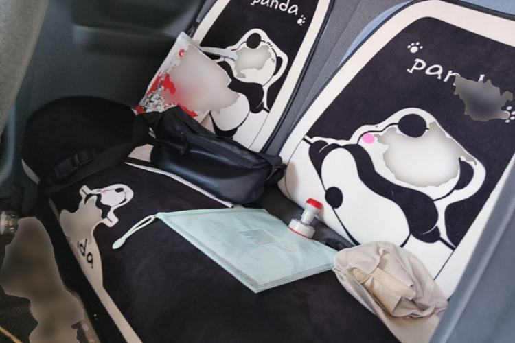 Used Geely Galaxy Panda 2024 Panda Mini 200km Endurance Bear Left Rear Seat